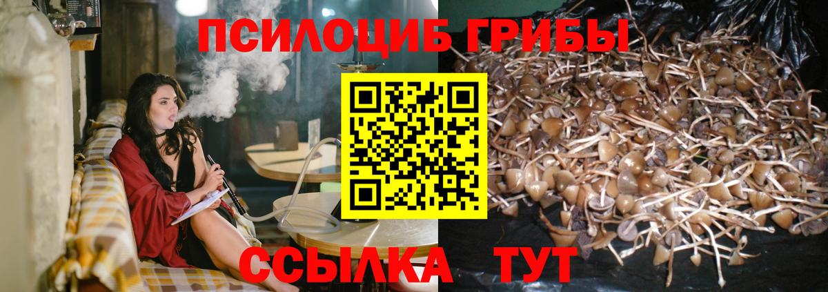 Галлюциногенные грибы мухоморы Чехов